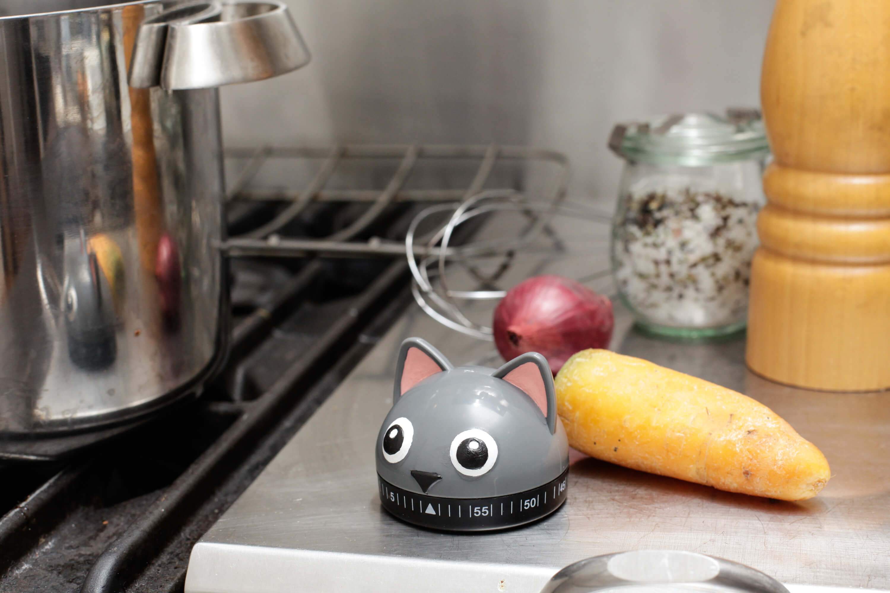 Cat timer - Minuterie chat* Kikkerland